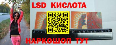 шишки Вязники