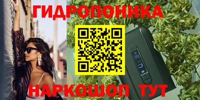 крисы Вышний Волочёк