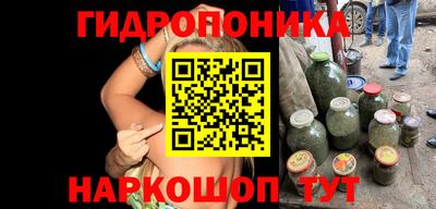 шишки Вязники