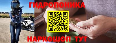 шишки Вязники